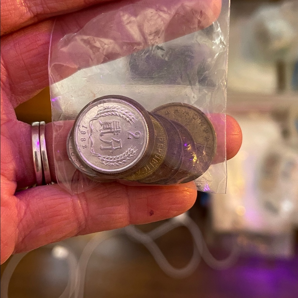 Coin Bag 4